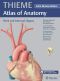 [Thieme Anatomy 01] • Neck and Internal Organs